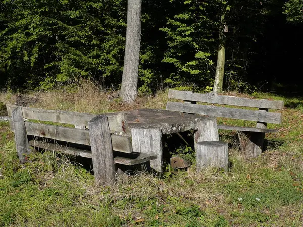 Wooden benches with table at the edge of the forest