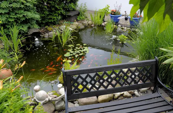 Ornamental garden, garden pond with goldfish