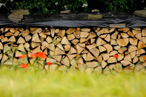 Firewood Store Unsplit Grain Field — Stock Photo, Image