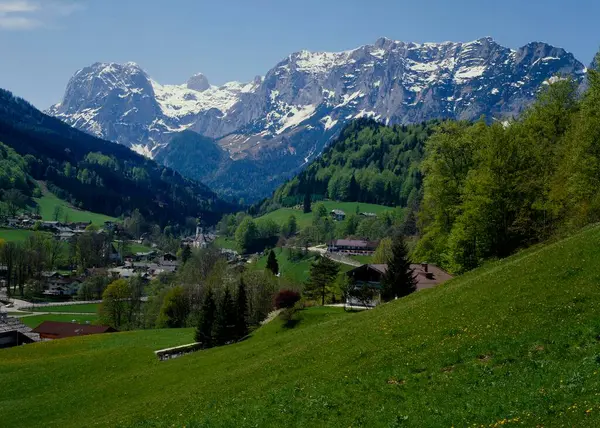 Look in the spring in the Ramsau in the Berchtesgadener land, above that the Reiteralpe. D- Bavaria/Oberbayern, Look in the spring in the Ramsau in the Berchtesgadener land, about that the bleed nightmares. D-Bavaria, Upper Bavaria