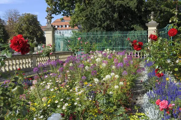Ludwigsburg Blommande Barockslott Blomsterrabatter — Stockfoto