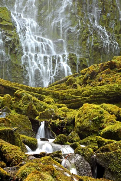 Proxy Falls Schwestern Wilderness Abd Kuzey Amerika — Stok fotoğraf