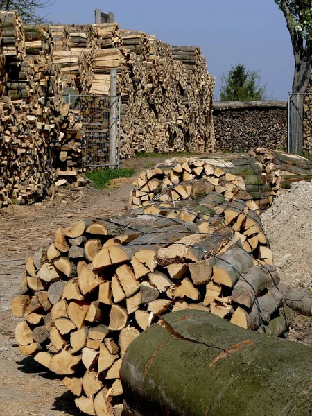 Firewood Store Stacked Firewood Wood Store — Stock Photo, Image