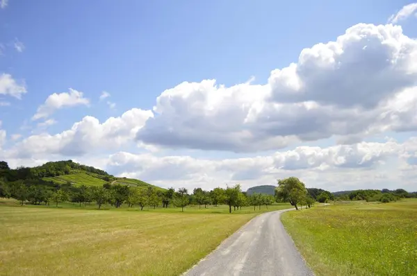 マウルブロン ブドウ畑 天気の写真 — ストック写真