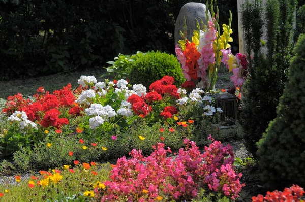 墓のベゴニアス ベゴニア 墓のさまざまな花 ベゴニア ベゴニア — ストック写真