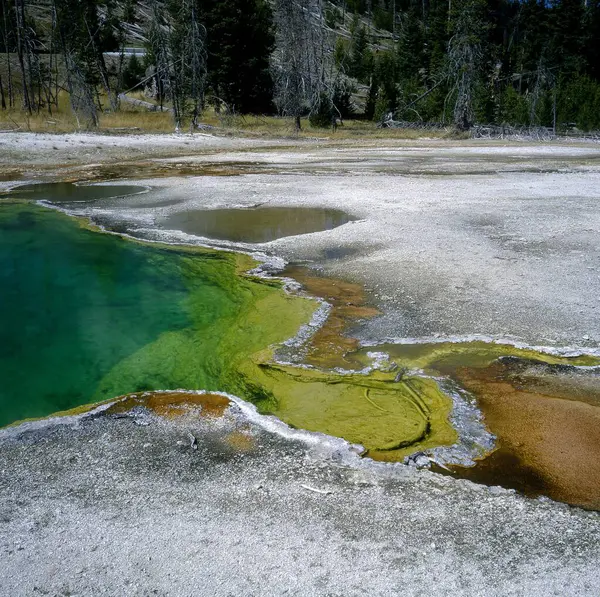 Stany Zjednoczone Yellowstone West Daumen Gesey Becken Ameryka Północna — Zdjęcie stockowe