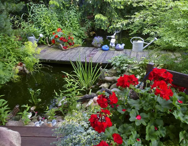 夏天的花园池塘 开着花园的花 — 图库照片