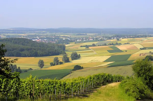 Vignobles Près Oberderdingen Corne Avec Paysage Champêtre — Photo