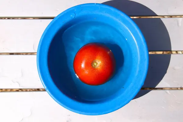 Tomato Camping Plate Waiting Washed Turkey — Stock Photo, Image