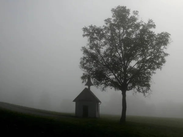提提西城附近晨雾中的庭院小礼拜堂 树上有树 黑森林 Wuerttembfrg — 图库照片