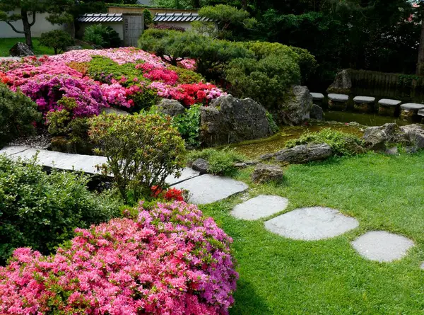 Ludwigsburg Flowering Baroque Japanese Garden Azalea Blossom — Stock Photo, Image