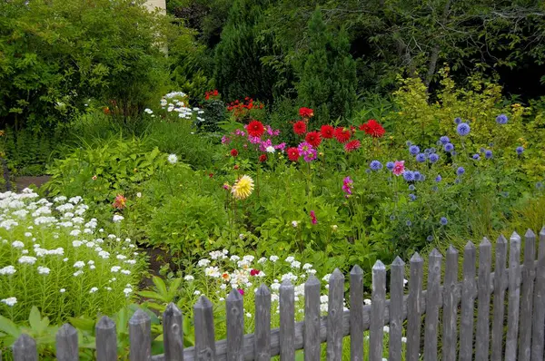 Bade Wrttemberg Forêt Noire Cottage Jardin Jardin Vivace Diverses Fleurs — Photo