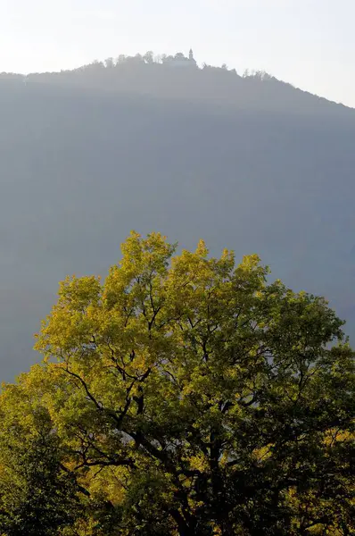 Krajobraz Szwabski Alb Mgła Krajobraz Zamek Teck Zdjęcie Podświetlenia Dąb — Zdjęcie stockowe