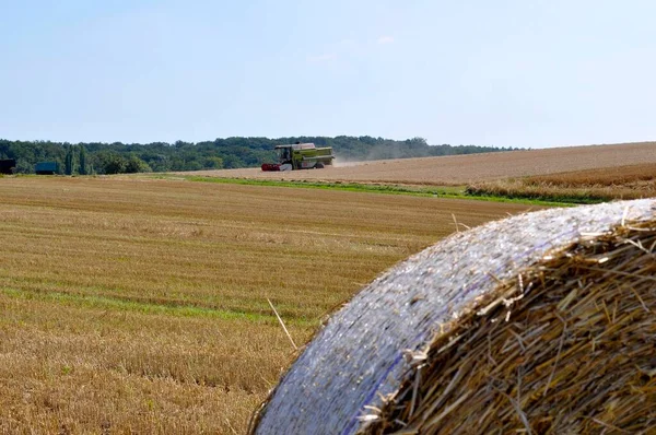 Straw Bales Grain Field Knittlingen — Stock Photo, Image