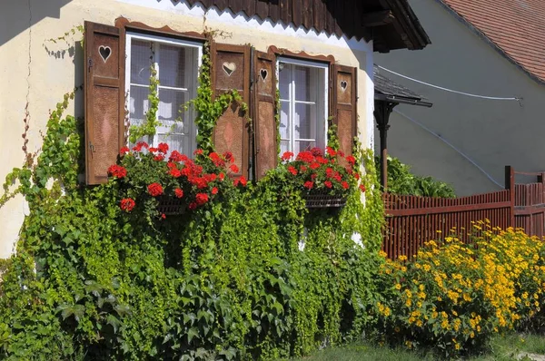 奥地利 克雷姆斯 乡村花园 多年生的开花花园 有开花花园的小房子 窗前有天麻树 — 图库照片