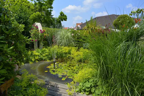 庭のウォーターリリー池 夏の美しい庭 観賞庭園 — ストック写真