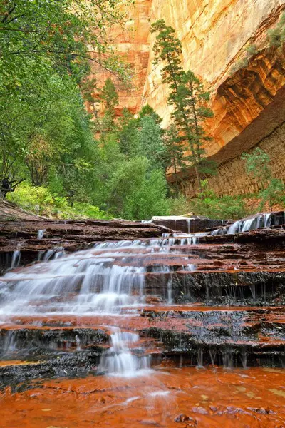 Kaskader Vänstergaffel Creek Zion National Park Usa Nordamerika — Stockfoto