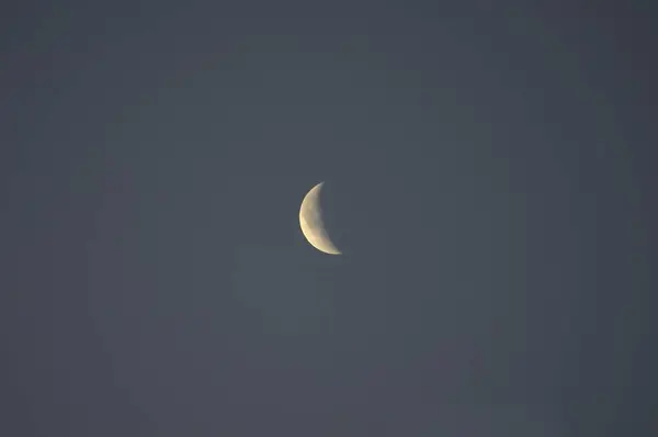 Sickle Moon Waning Crescent Rose Garden Oberderdingen — Stock Photo, Image