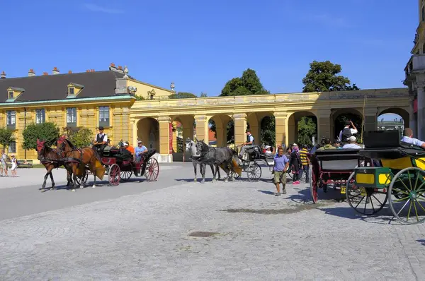 Österrike Wien Schnbrunn Palace Slottsträdgården Fiaker Europa — Stockfoto