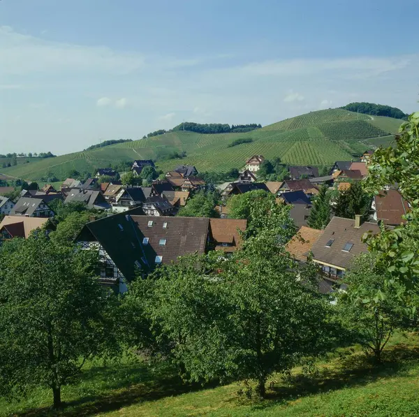 Sasbachwalden Baden Wijnroute Baden Wrttembergzwarte Woud Duitsland Europa — Stockfoto