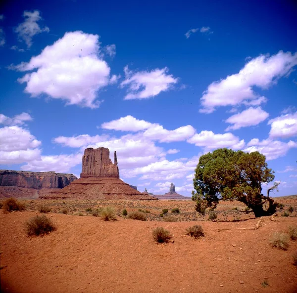 Mitten Buttes Monument Valley 나바호 — 스톡 사진