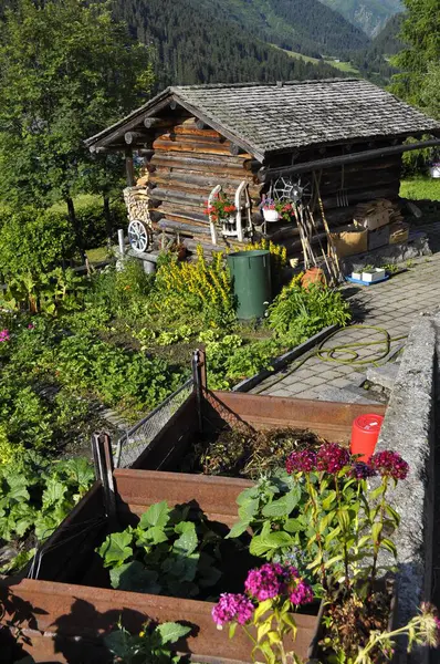 Farm Garden Salad Vegetables Matterhorn Gotthard Railway — Stock Photo, Image