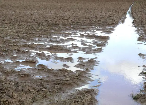 Ploughed Field Furrows Filled Rainwater — Stock Photo, Image