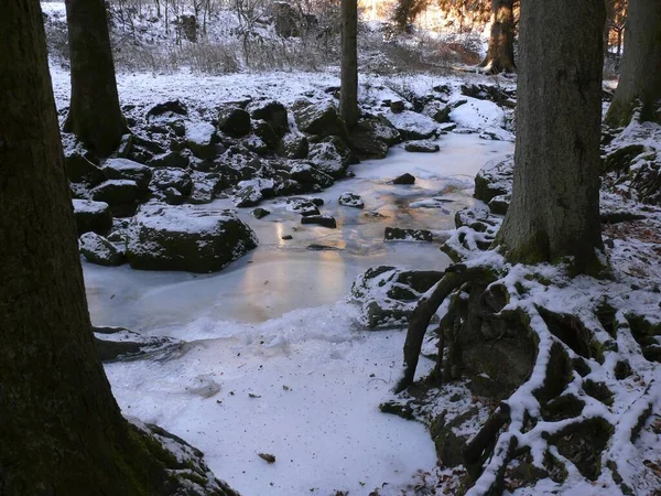 Hoarfrost Nord Forêt Noire Près Bad Liebenzell Hiver Avec Glace — Photo