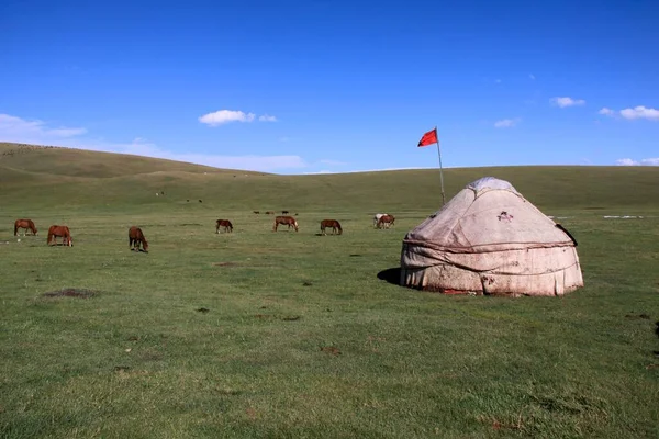 Yourte Avec Des Chevaux Lac Montagne Songkl Kirghizistan — Photo
