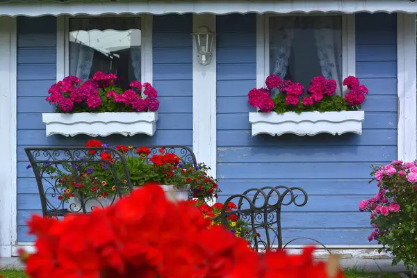 庭の家によって箱に咲く赤いゼラニウム 花が付いている錬鉄のそり 窓によって流れるゼラニウム — ストック写真