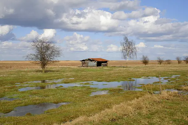 コペンハーゲン郊外 デンマーク ヨーロッパのコペンハーゲン近くのバルト海の春の牧草地 — ストック写真