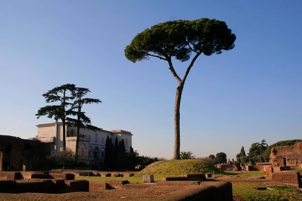 Forum Rzymskie Foro Romano Palatinum Palatino Rzym Włochy — Zdjęcie stockowe