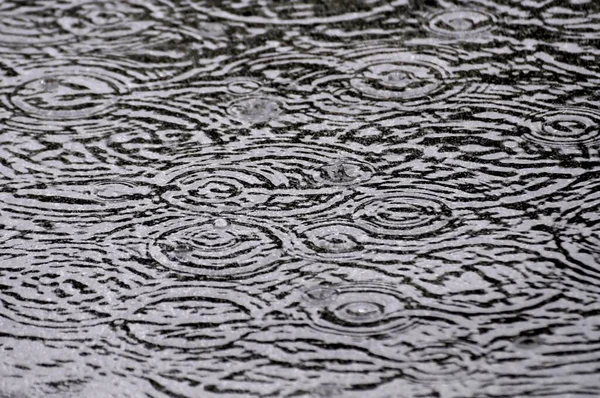 池の雨の間の気泡 池の重い雨 — ストック写真