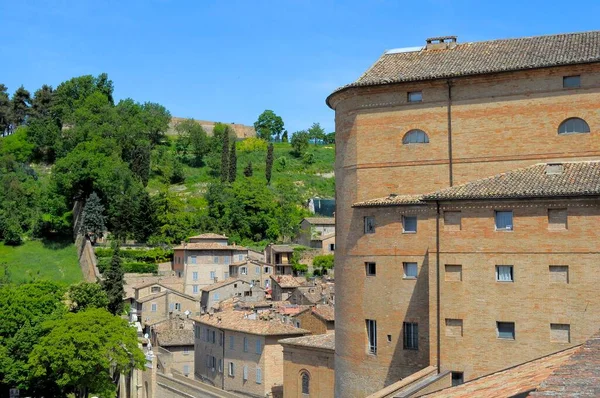 Olaszország Marche Urbino Belváros Óváros Templom Európa — Stock Fotó