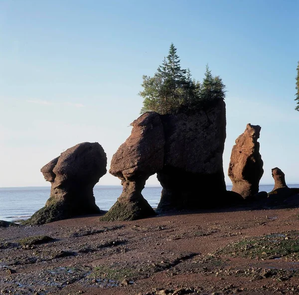 Flowerpot Rocks Hoewell Cape Nouveau Brunswick Kanada — Photo