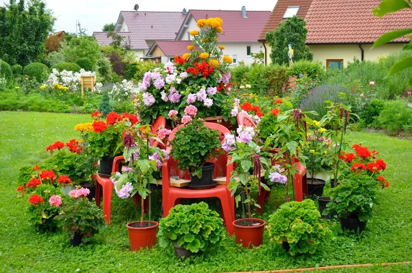 Flower garden in summer, home garden