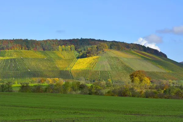 Gndelbach Colorful Vineyards Autumn Stromberg Region Wrttemberg — Stock Photo, Image