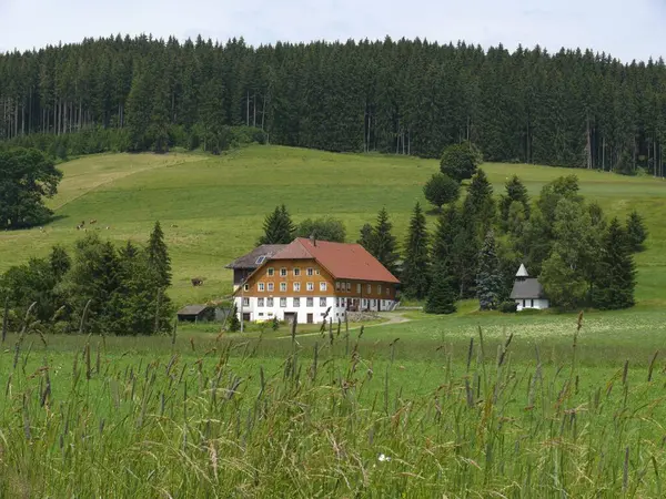 Titisee Kara Orman Şapeli Olan Kara Orman Çiftliği Almanya — Stok fotoğraf