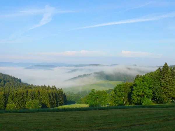 Valle Schwaerzenbach Niebla Mañana Cerca Titisee Bosque Negro Mal Wuerttemb — Foto de Stock