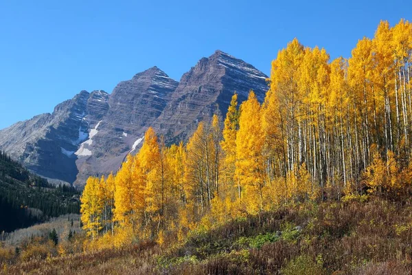 Maroon Bells Aspen Yellow Aspen Usa North America — Stock Photo, Image