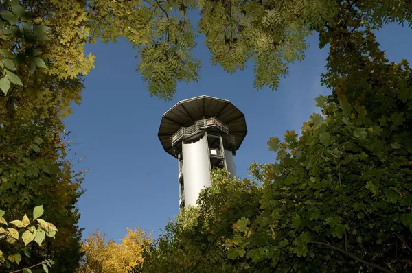 Bernstein Tower Och Gröna Blad — Stockfoto