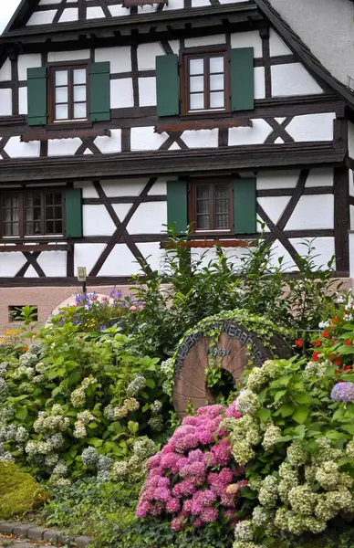 Hydrangeas Bloom Half Timbered House Mhlstein Black Forest Michelbach — Stock Photo, Image