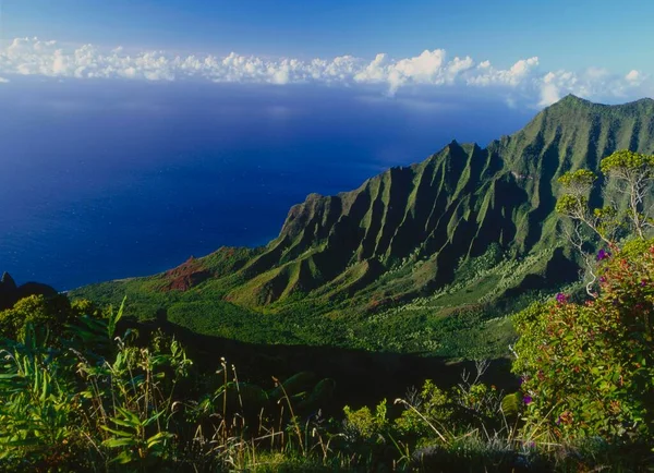 Красивий Гаваї Калалу Узбережжя Палі — стокове фото