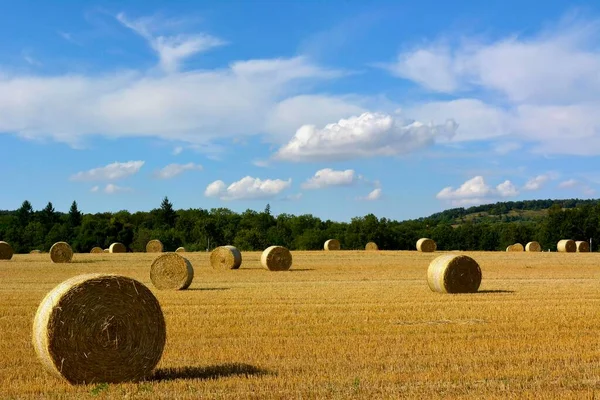 Straw Bales Grain Field Daytime Harvesting Concept — Stock Photo, Image