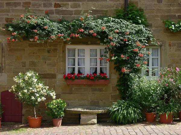Window with flowers outside, Geraniums in the box, Window with flowers outside, Geraniums in the box