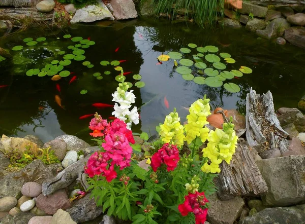 Garden pond in summer, with garden flowers