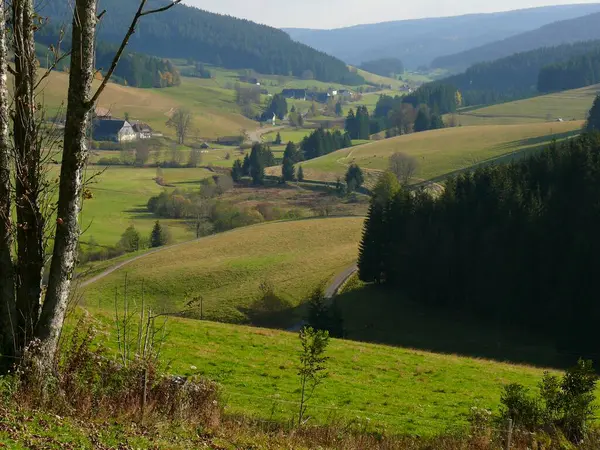 Jostal Hösten Nära Titisee Södra Schwarzwald Dåligt Wuertt Förbundsrepubliken Tyskland — Stockfoto
