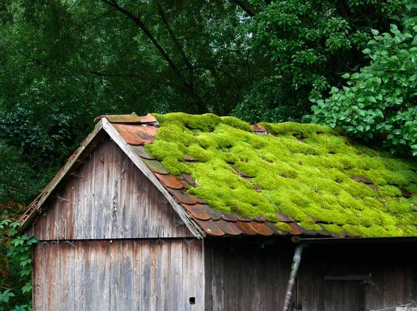 旧木屋上铺着苔藓的砖瓦屋顶 — 图库照片