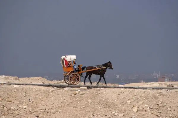 Pullman Turistico Sulla Strada Piramide Khufu Fronte Fronte Maltempo Avvicinamento — Foto Stock