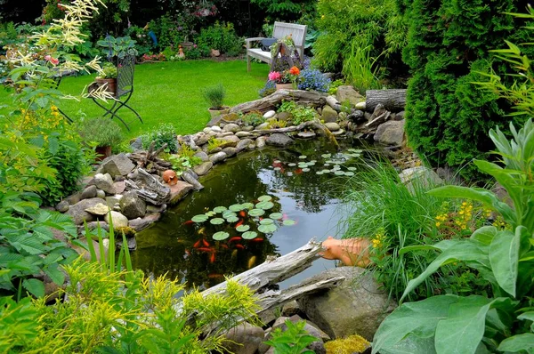 Ornamental Garden Garden Pond Goldfish — Stock Photo, Image
